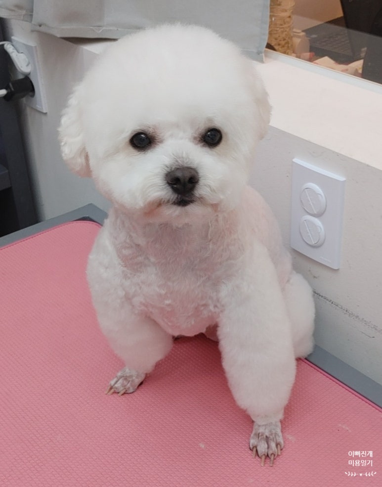 햇님미용실 이미지