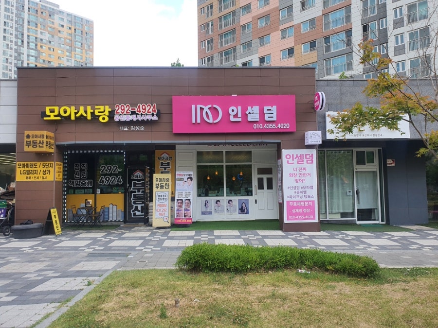 인셀덤다온 이미지
