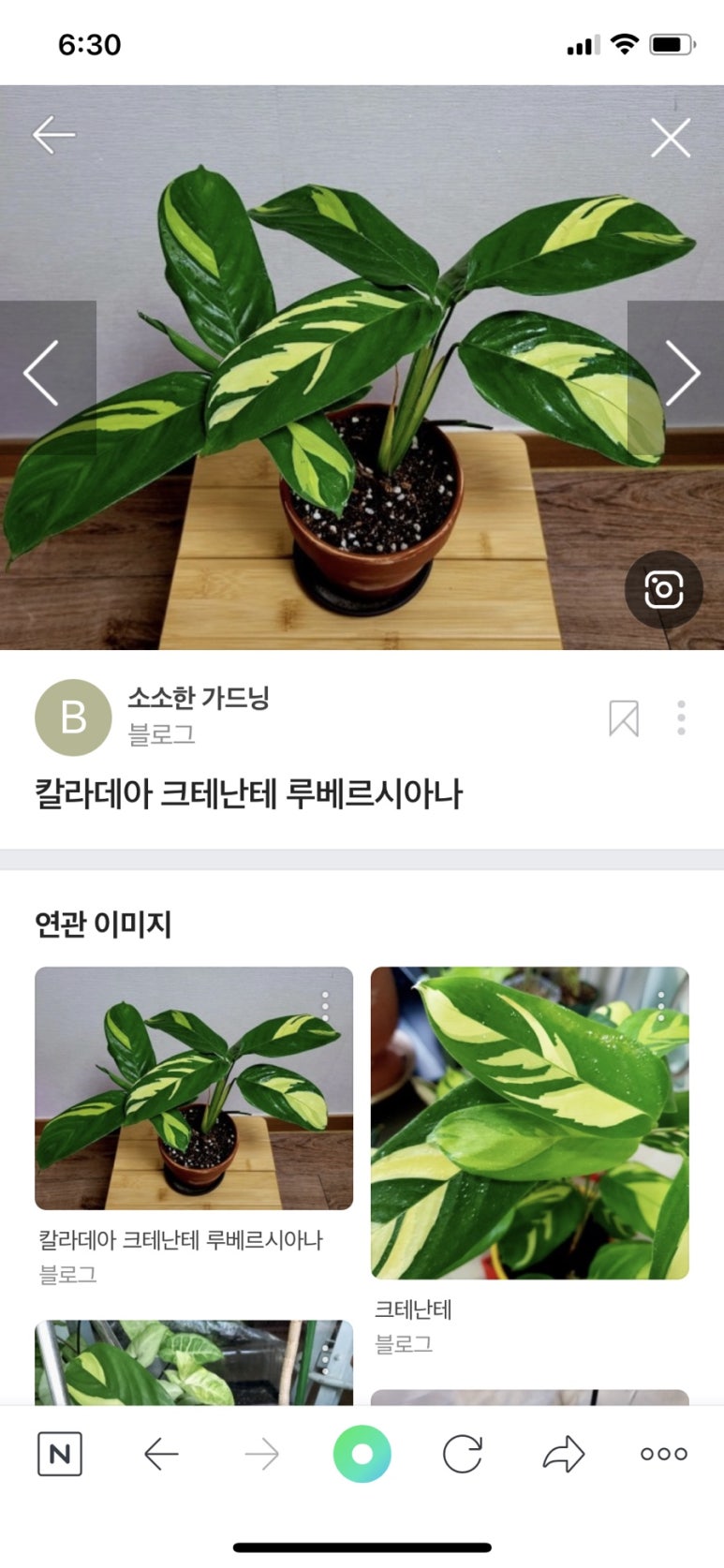 꽃단지농원 이미지