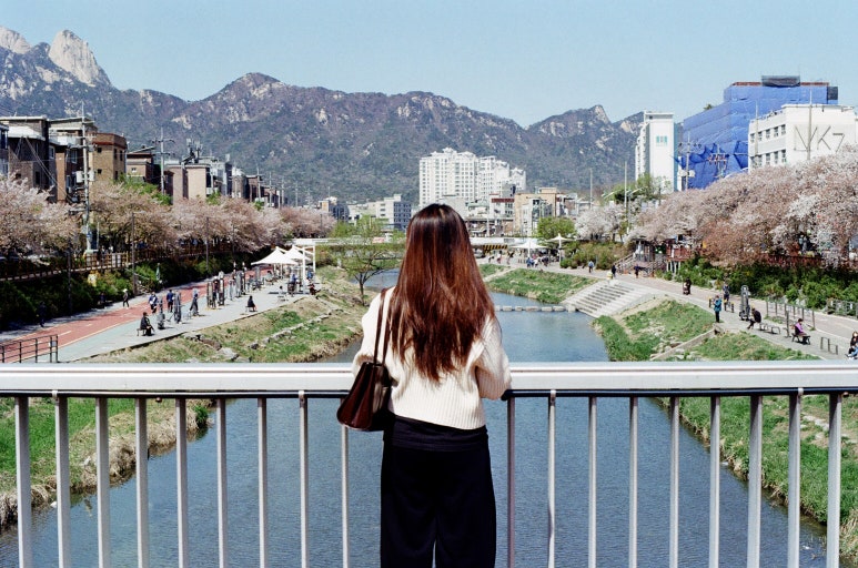 스캔프로 이미지