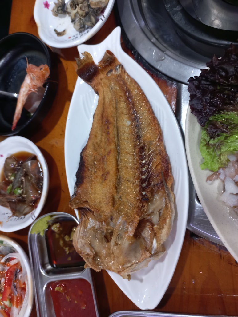 쭈꾸미랑바다친구들 이미지