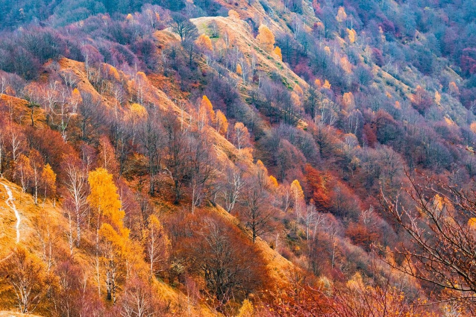 정한법무사 이미지