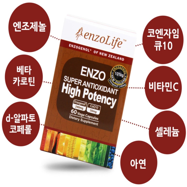 라이프 하이 이미지