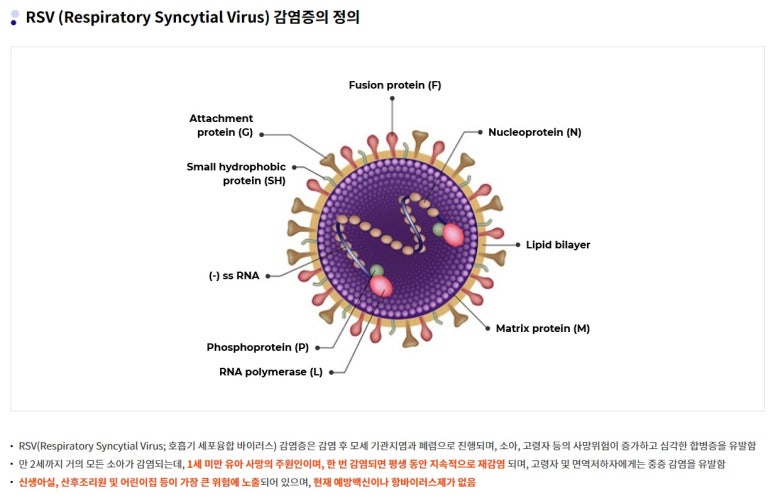 비엔씨네트워크 이미지