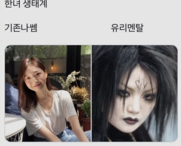 벽돌해피푸드 이미지