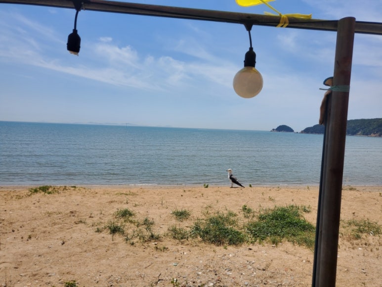 해변구이 이미지