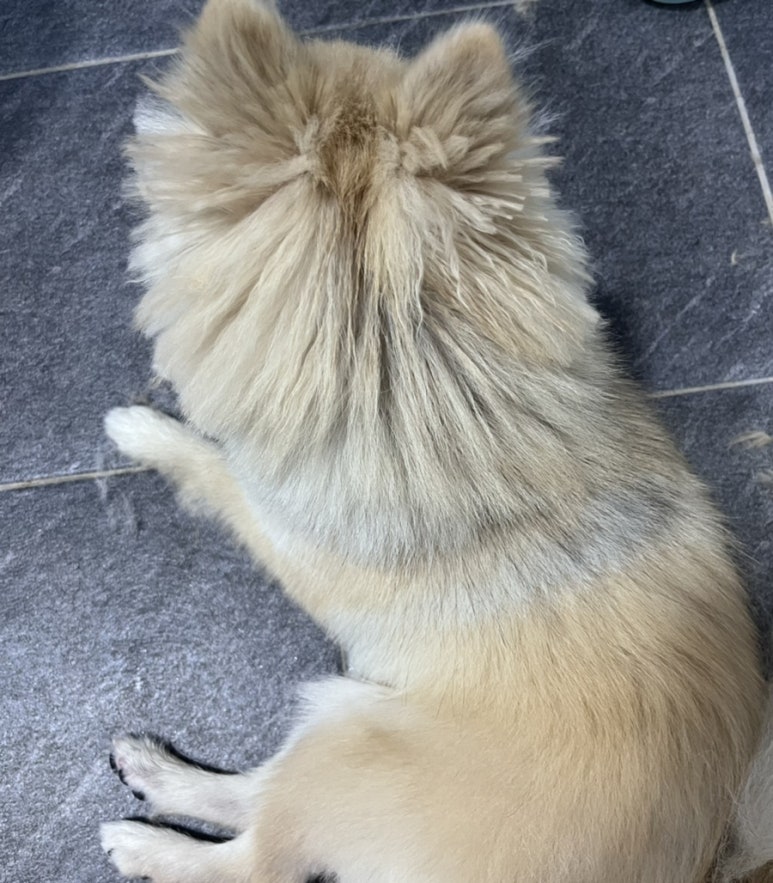 엘커브 이미지