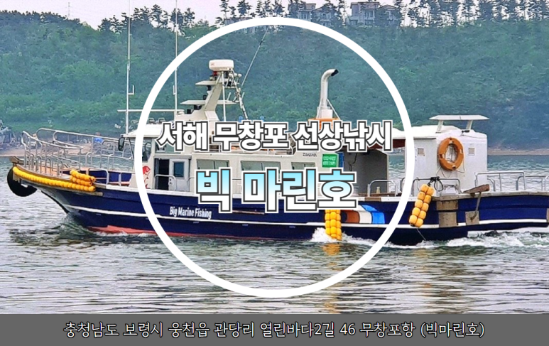 신신엠앤씨주 이미지