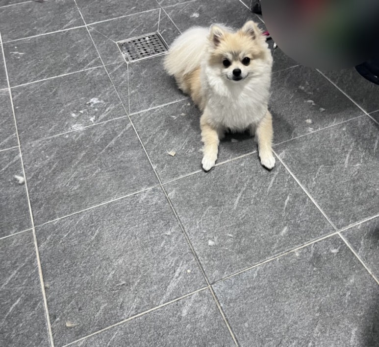 엘커브 이미지