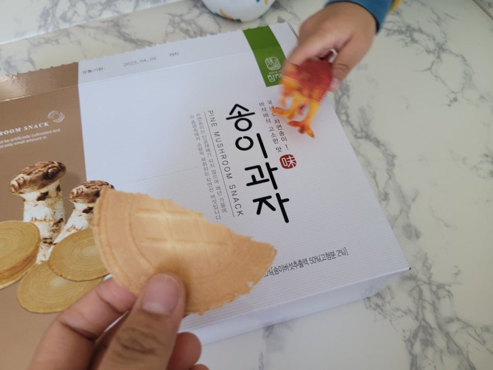 법인자연 이미지