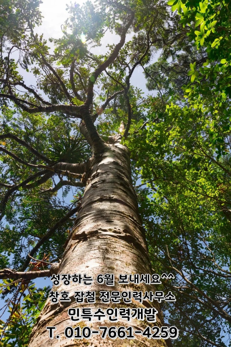 전문인력사무소 이미지