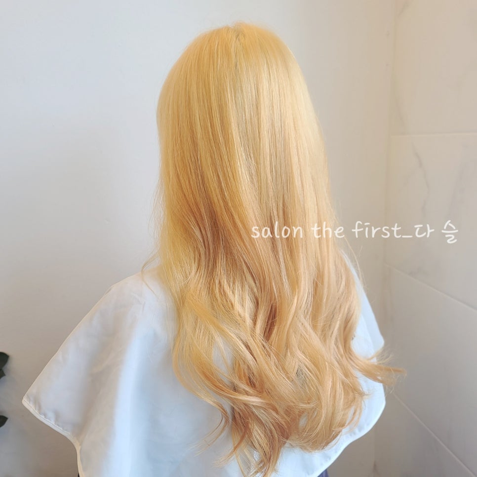 살롱더퍼스트 이미지