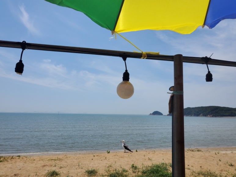 해변구이 이미지