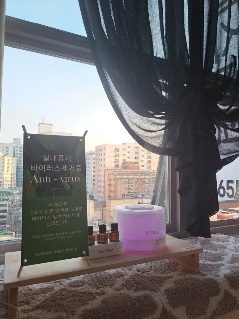 퀸도테라 이미지