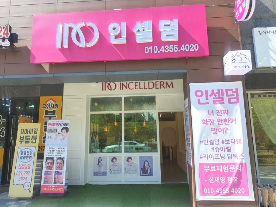 인셀덤다온 이미지