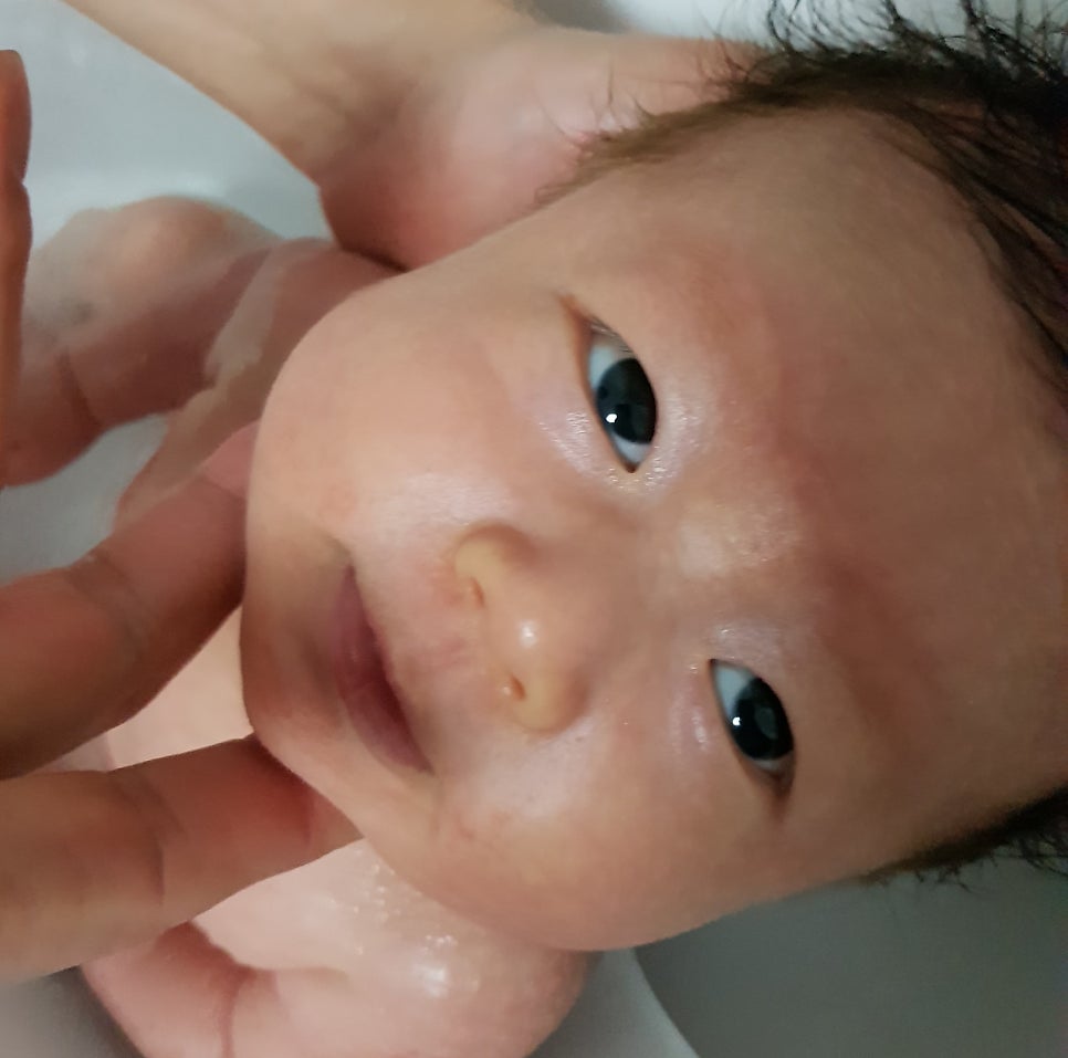 깨끗태진 이미지