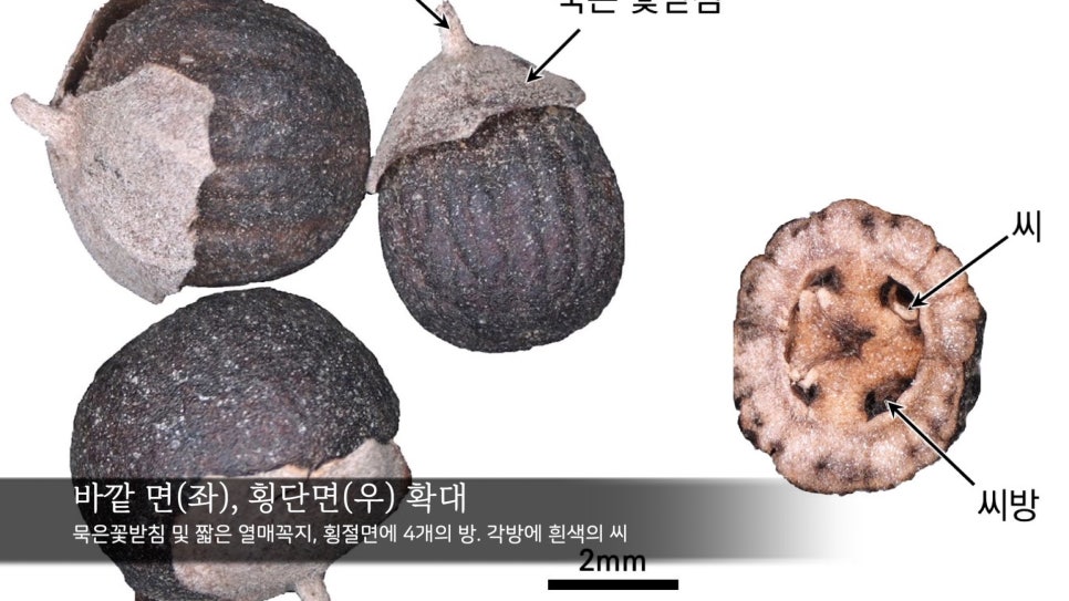 열매양품 이미지