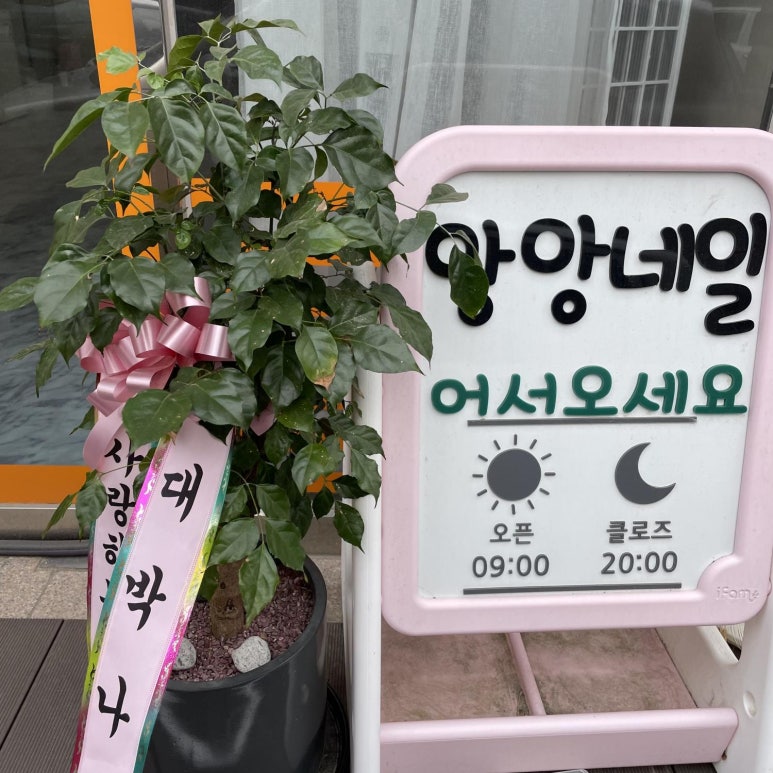 앙앙네일 이미지