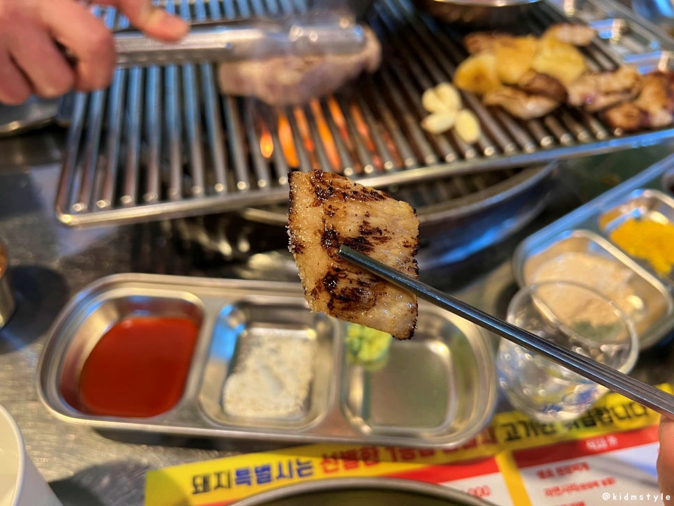 돼지특별시 이미지