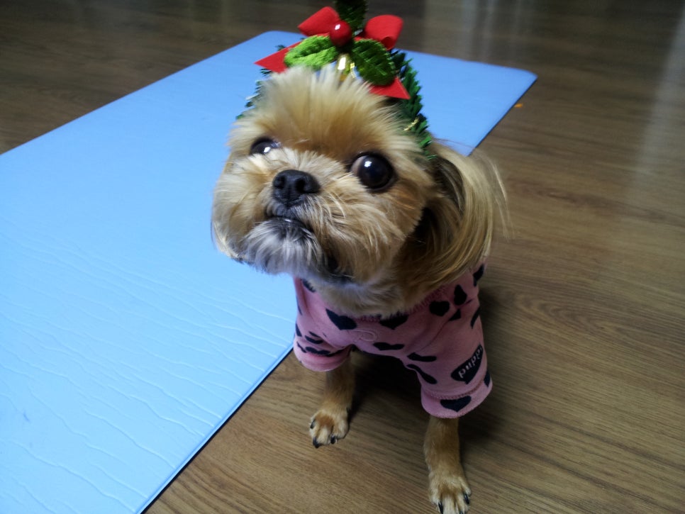 똘이2 이미지