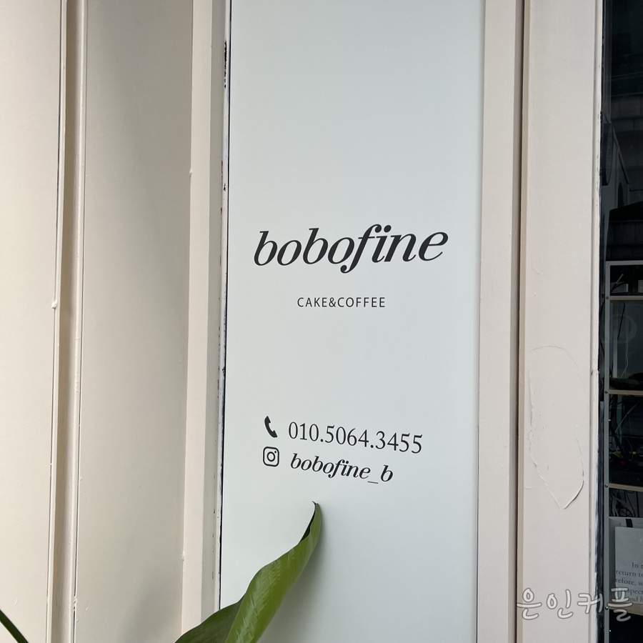 보보파인 이미지