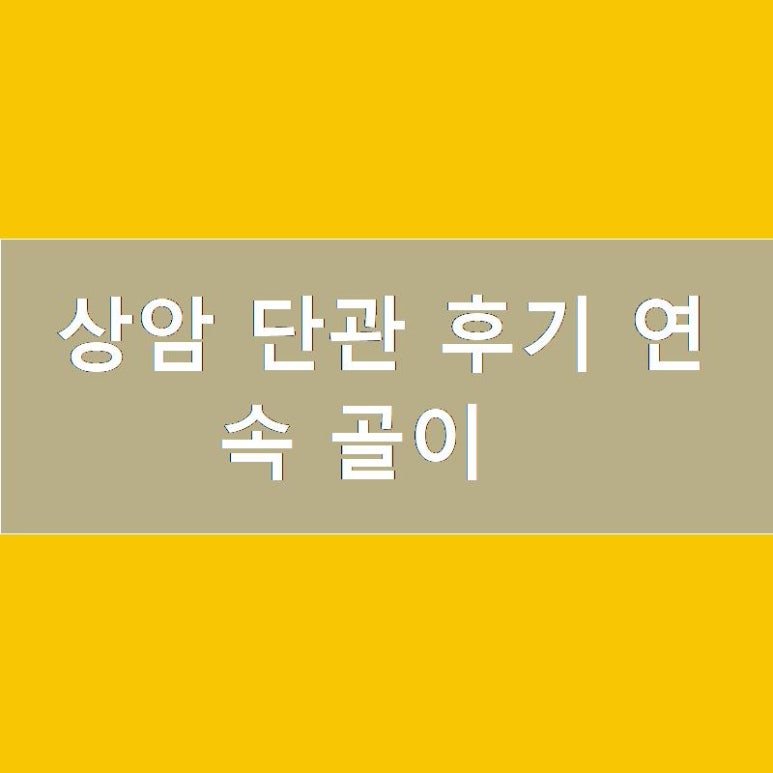 안전부란자 이미지