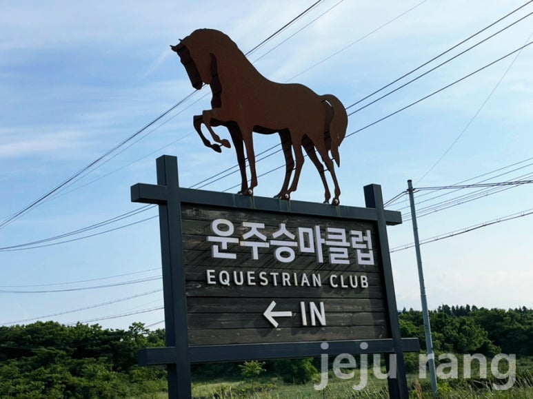 운주승마클럽 이미지