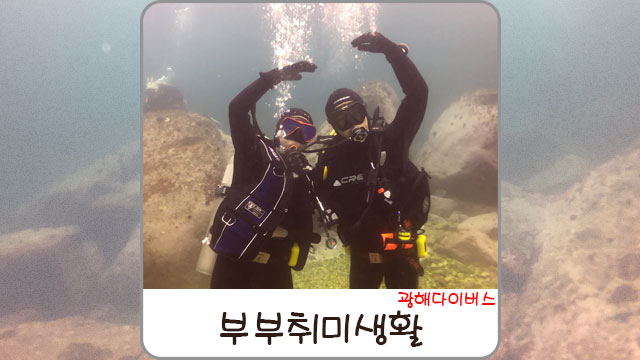 광해다이버스 이미지
