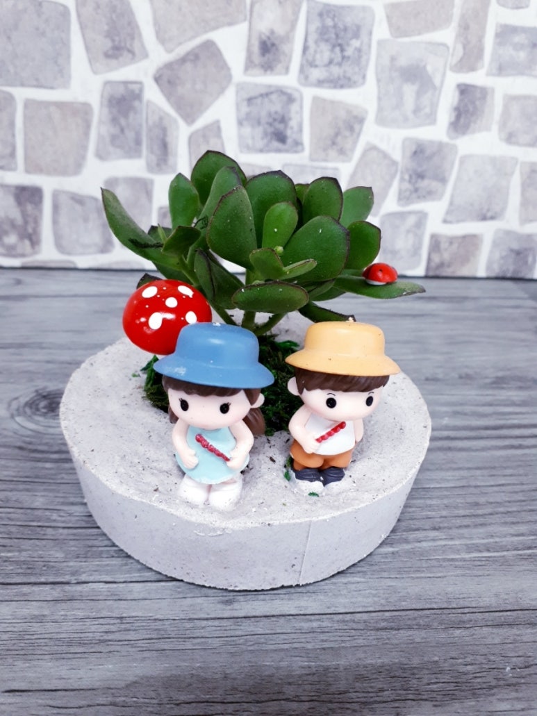 인천다육 이미지