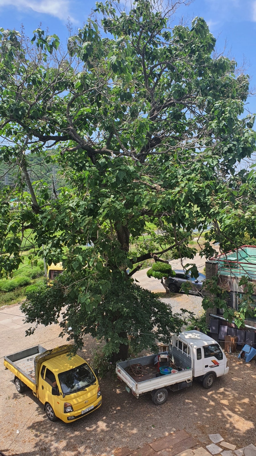 리버무인텔 이미지