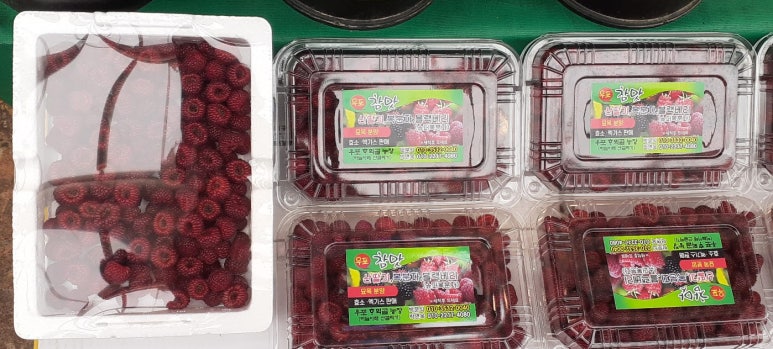 월배과일 이미지