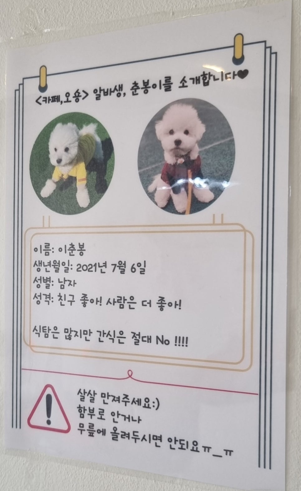 카페;오숑 이미지