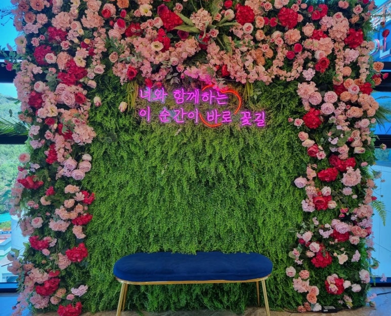 국가대표푸드마켓 이미지