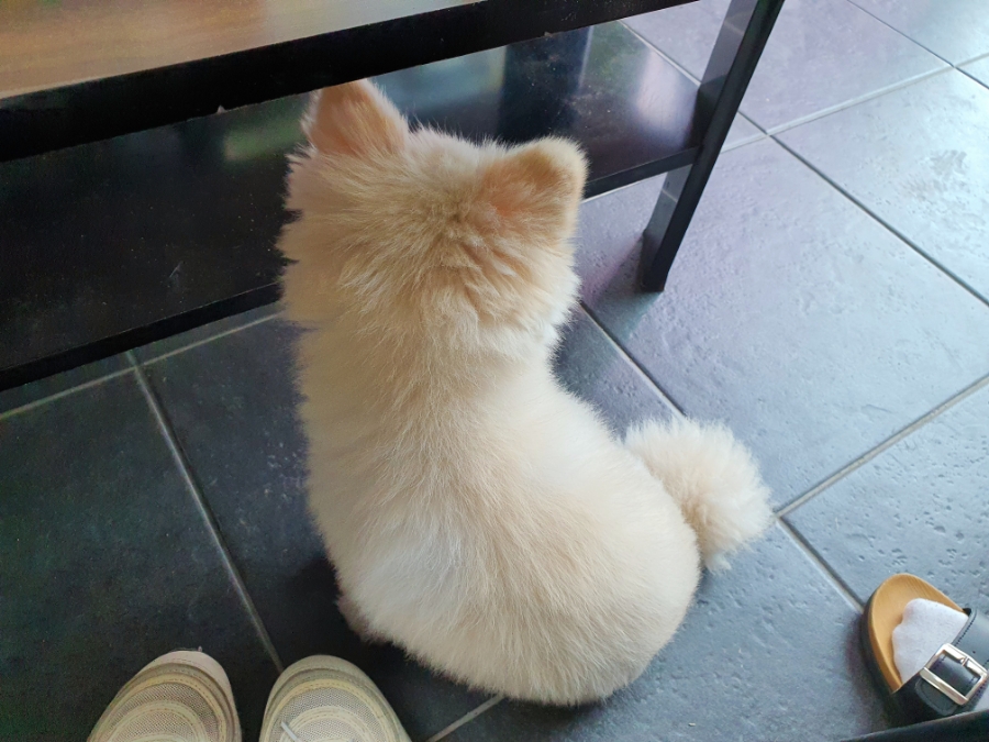 우진손세차장 이미지