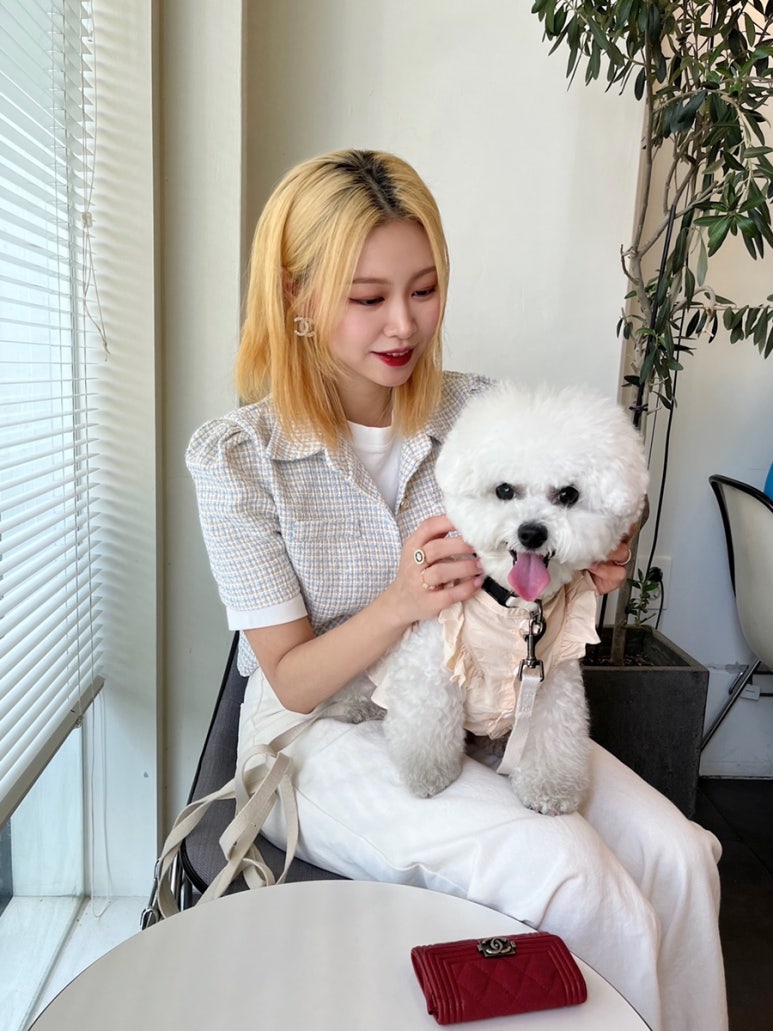 카페콤피 이미지