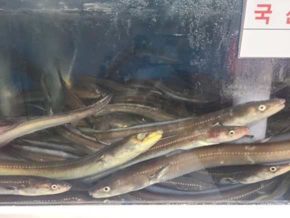 강애수장어구이 이미지