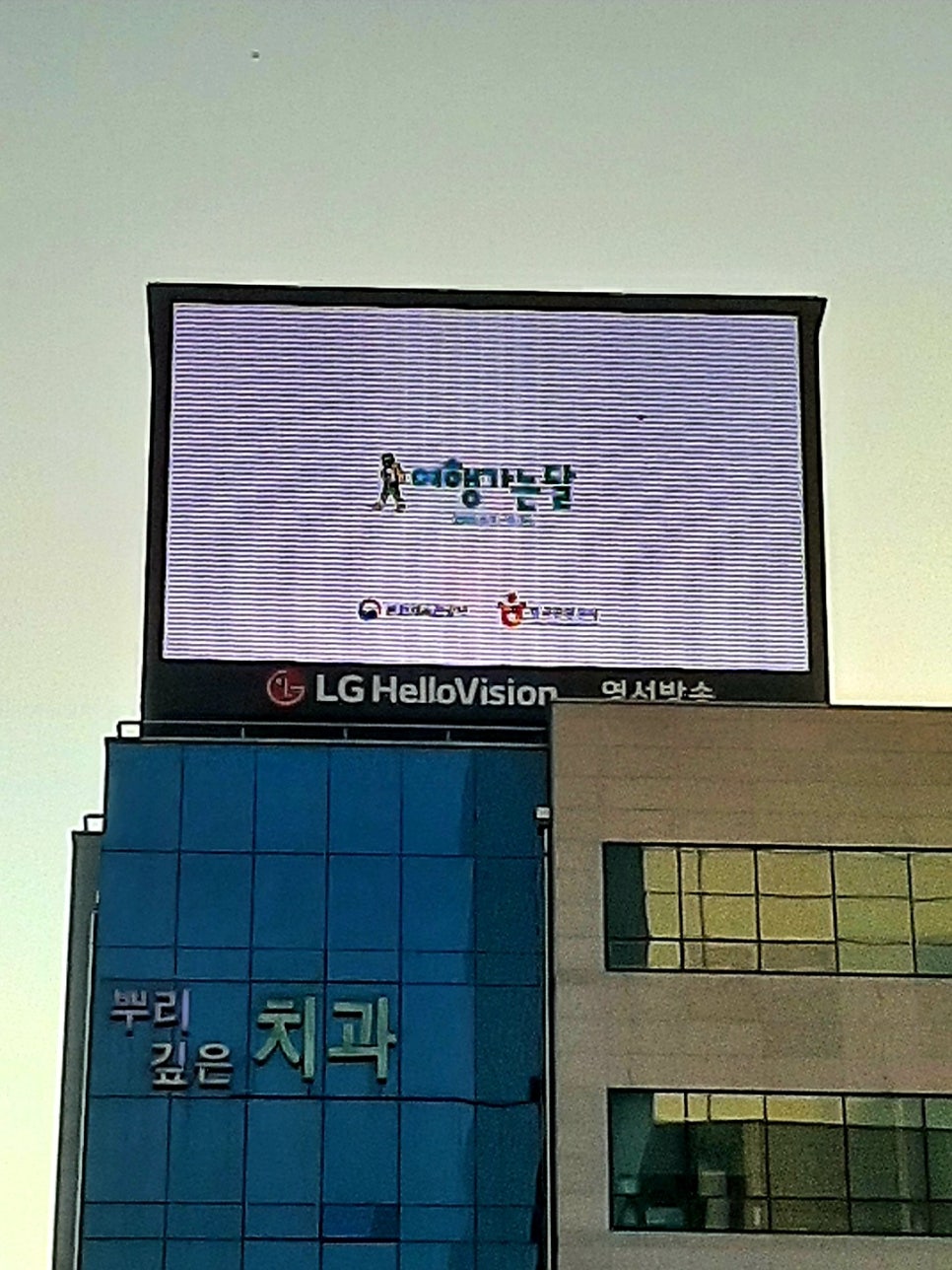 대호광고 이미지