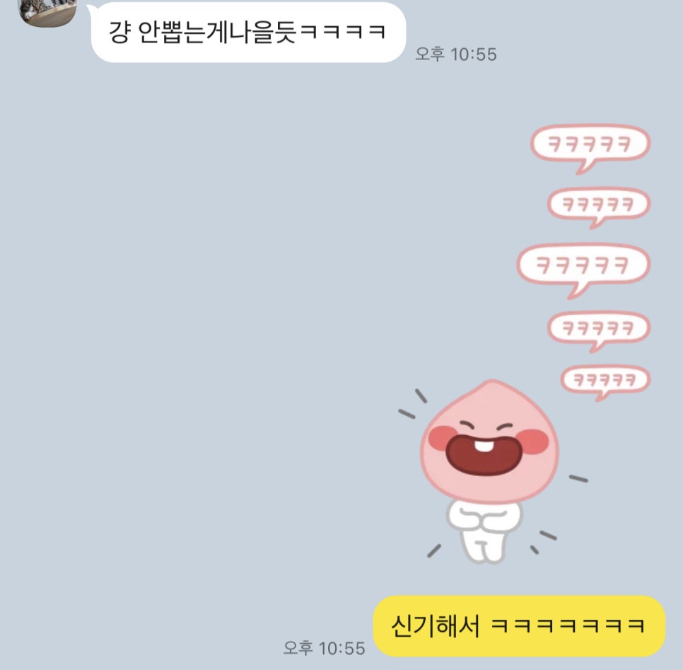 블루샥거제장평점 이미지