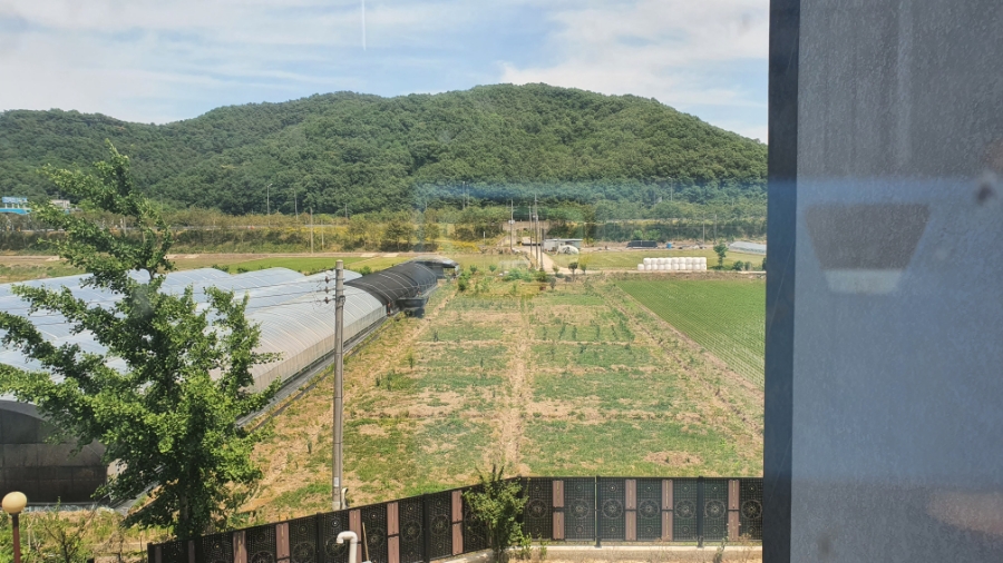 리버무인텔 이미지