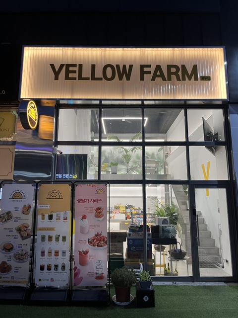 옐로우팜광주 이미지