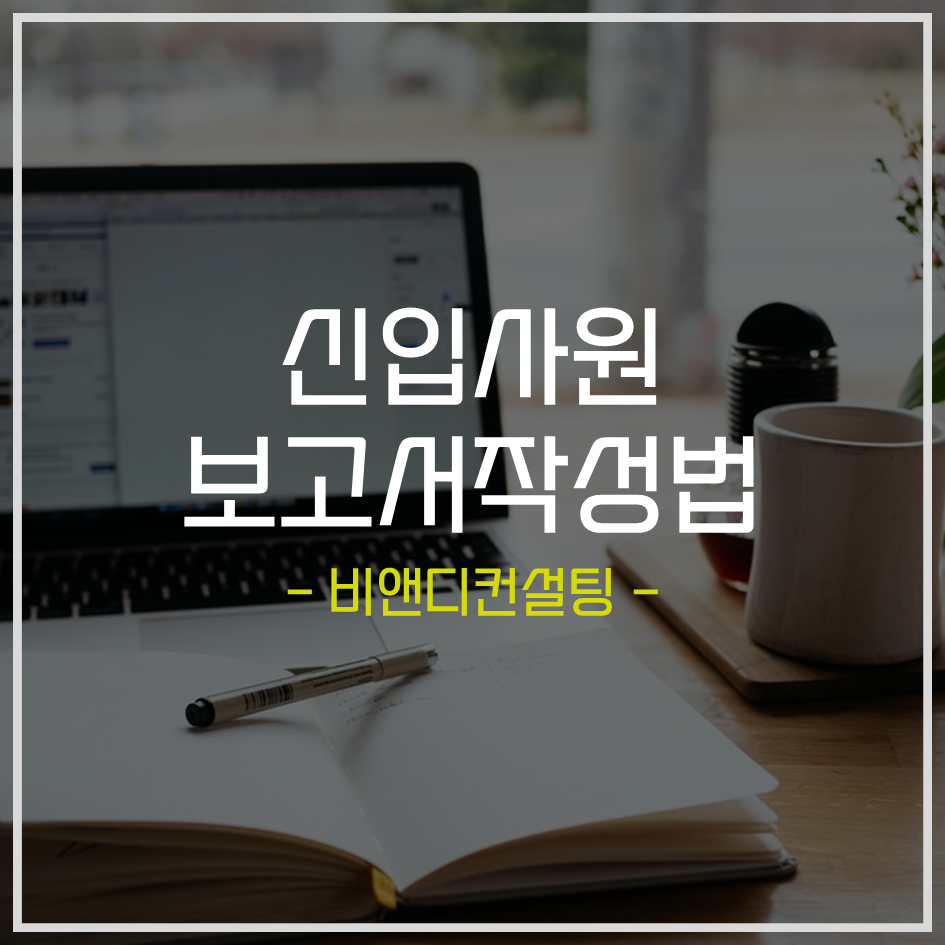 비앤디컨설팅 이미지
