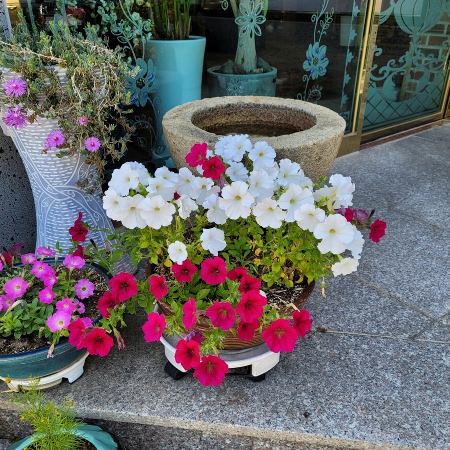산들소리찻집 이미지