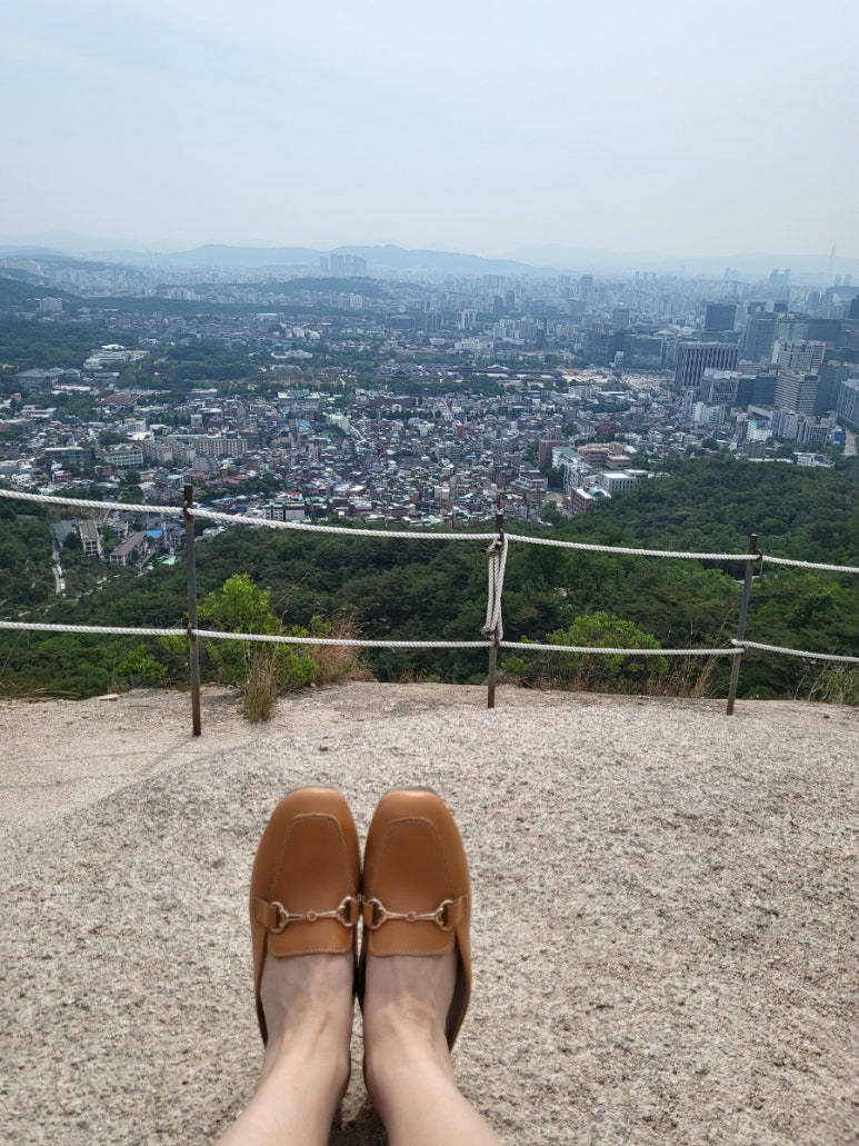 육삼시대 이미지