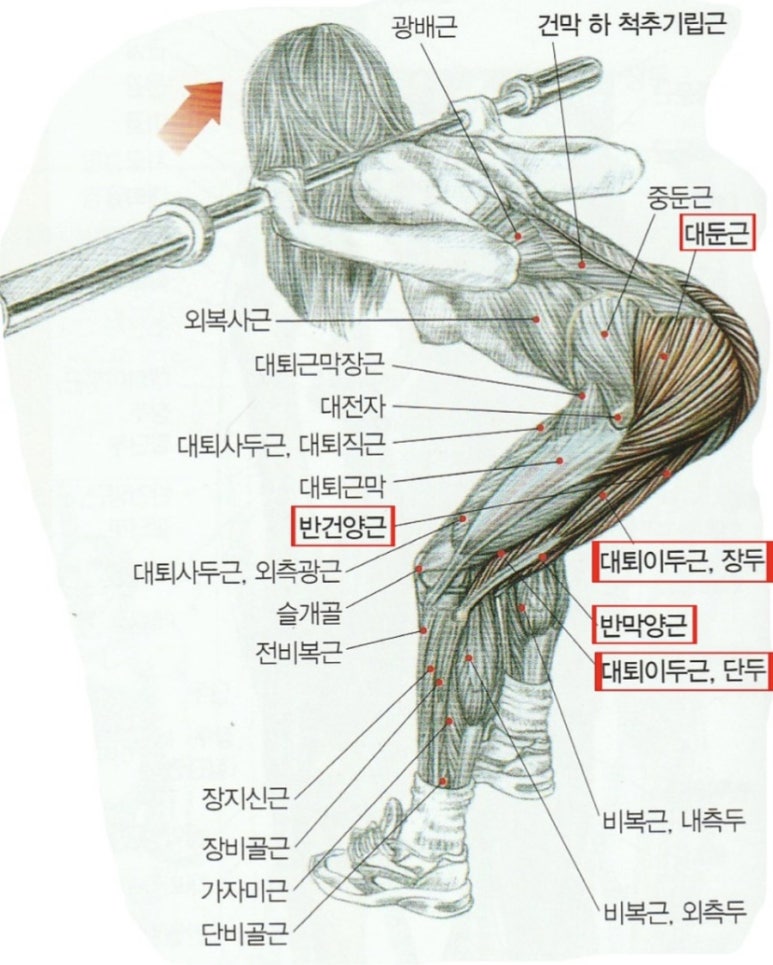 굿모닝피티 이미지