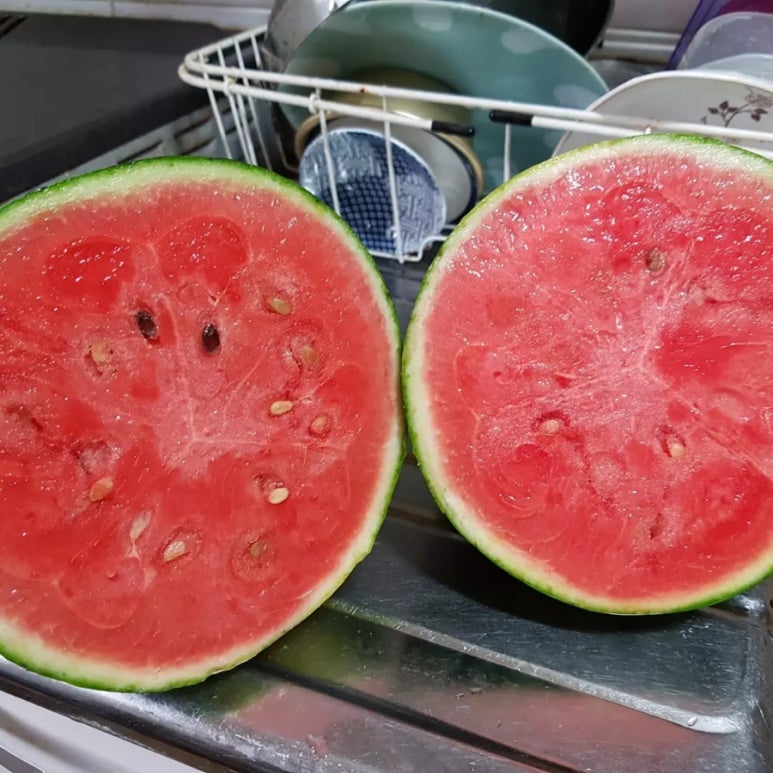 전일숙성고기 이미지