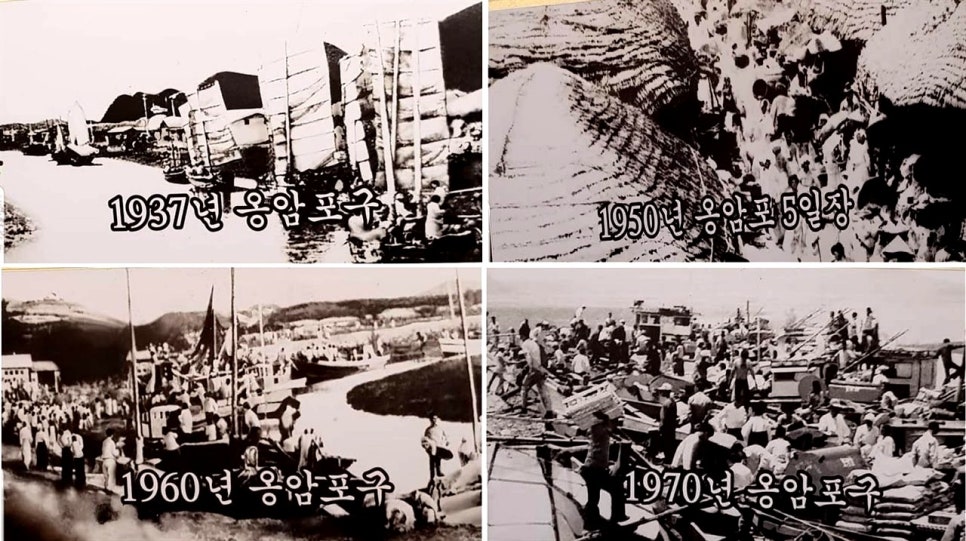 홍성새우젓상회 이미지
