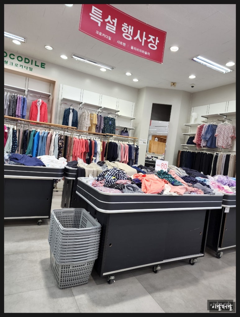 베이직하우스，마인드브릿지 이미지