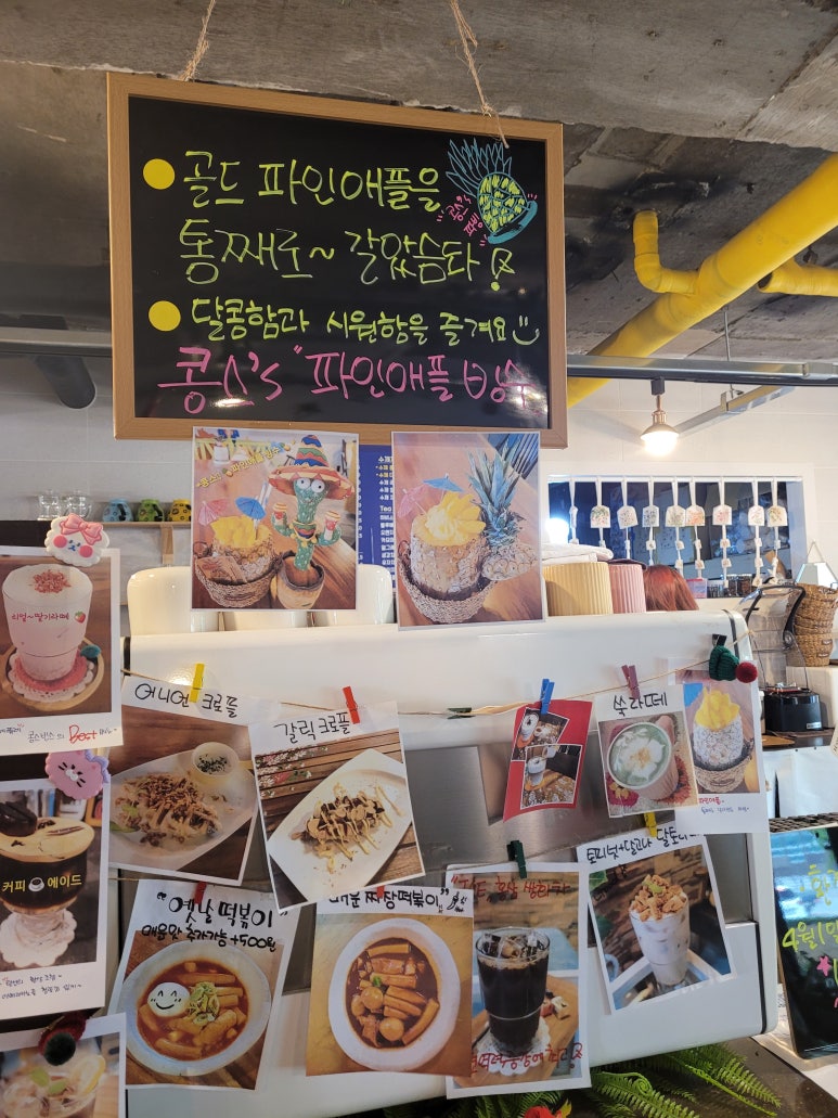콩스빈스 이미지