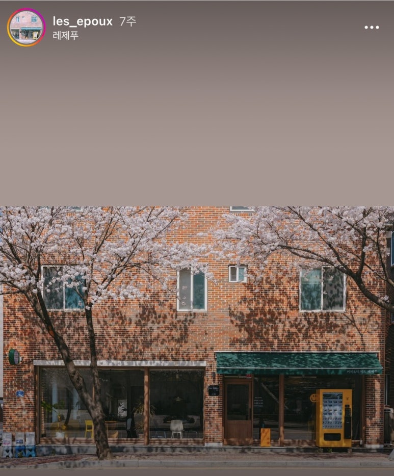 레제푸 이미지