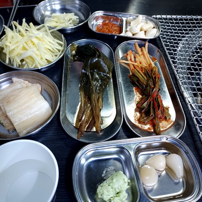 비장한장어 이미지